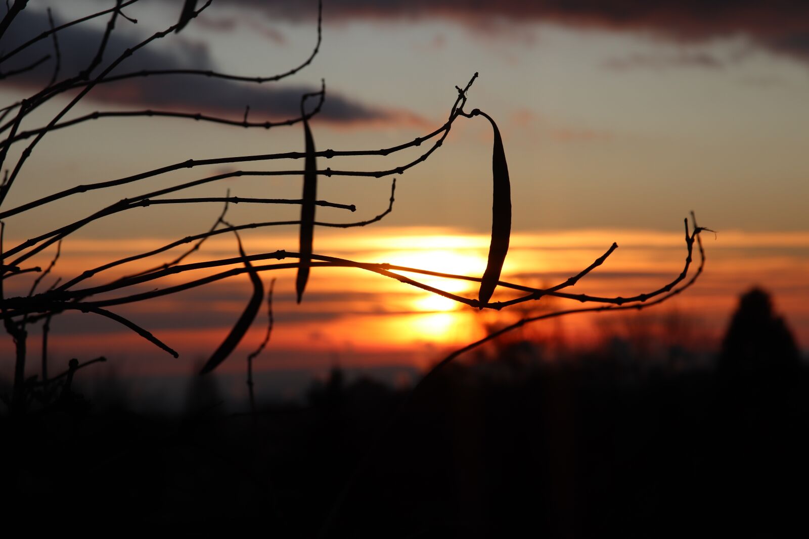 Canon EOS 200D (EOS Rebel SL2 / EOS Kiss X9) sample photo. Sunrise, sky, nature photography