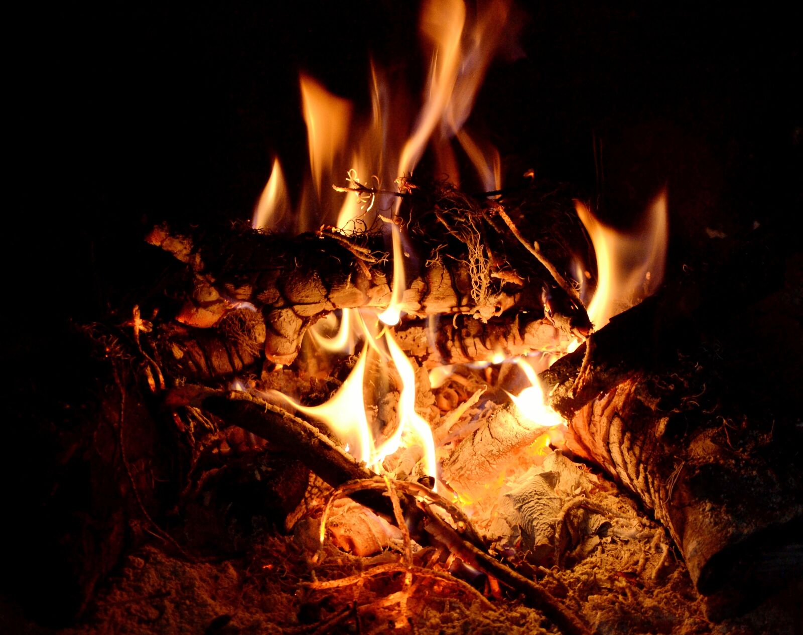 Nikon D3100 sample photo. Fire, fireplace, bonfire photography