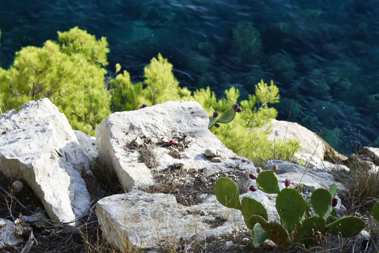 Nikon D7200 sample photo. Coast, stones, rocks photography