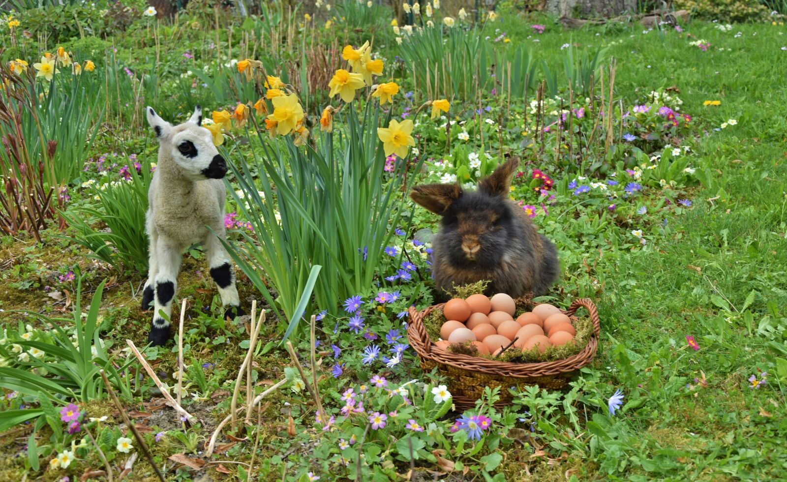 Nikon D5300 sample photo. Rabbit, easter, easter bunny photography
