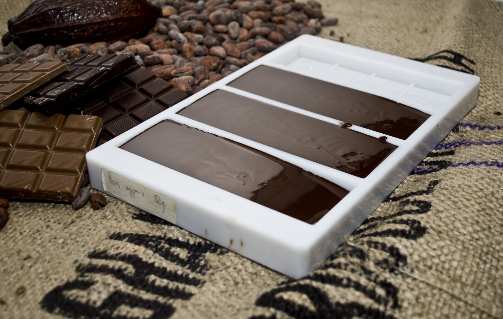 Nikon D200 sample photo. Chocolate, mould, mold photography