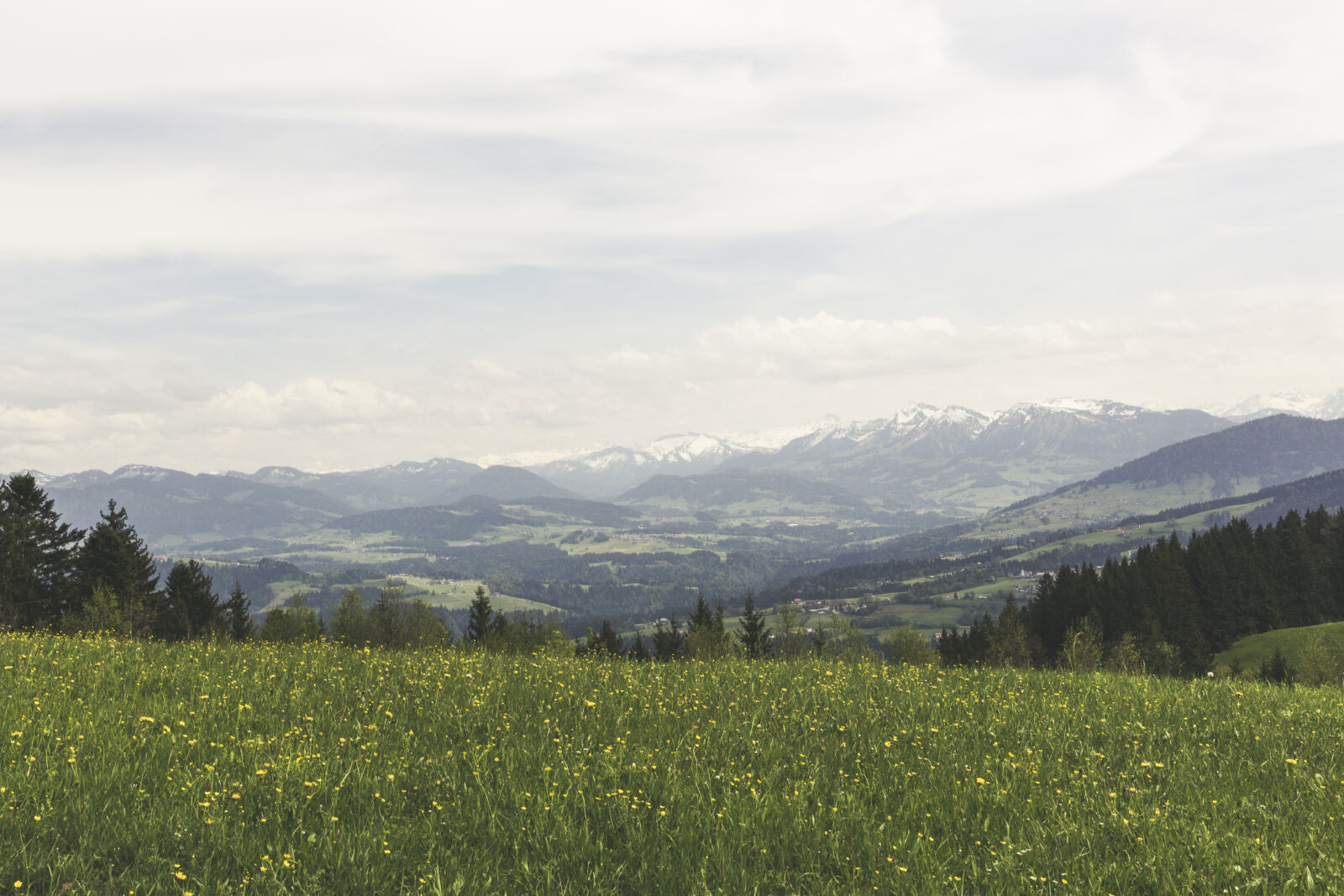 Canon EF 24-70mm F2.8L II USM sample photo. Landscape, mountains, nature, field photography