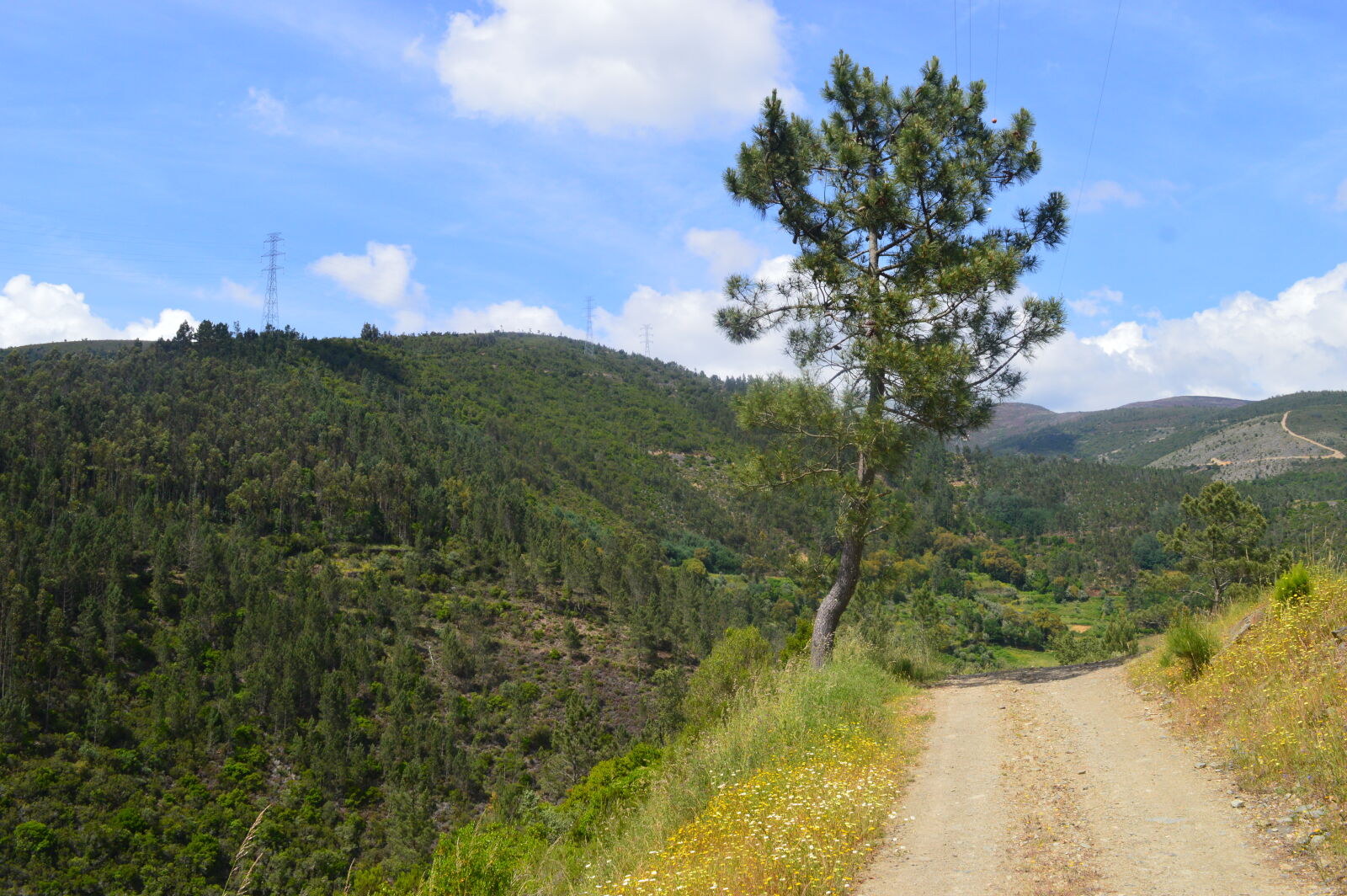 Nikon D3200 sample photo. Nature, nature, photography photography