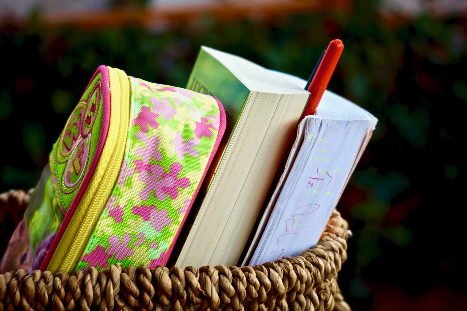 Canon EOS M sample photo. Books, reading, leisure photography