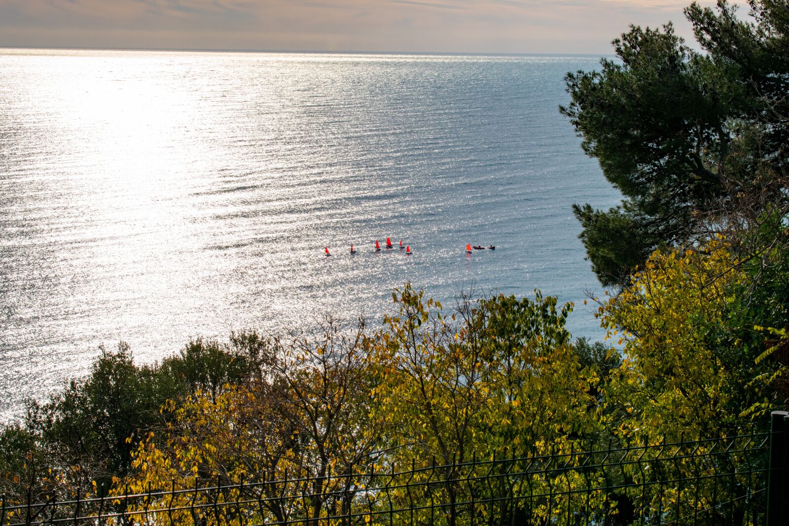 Nikon D5600 sample photo. Sea, trees, nature photography