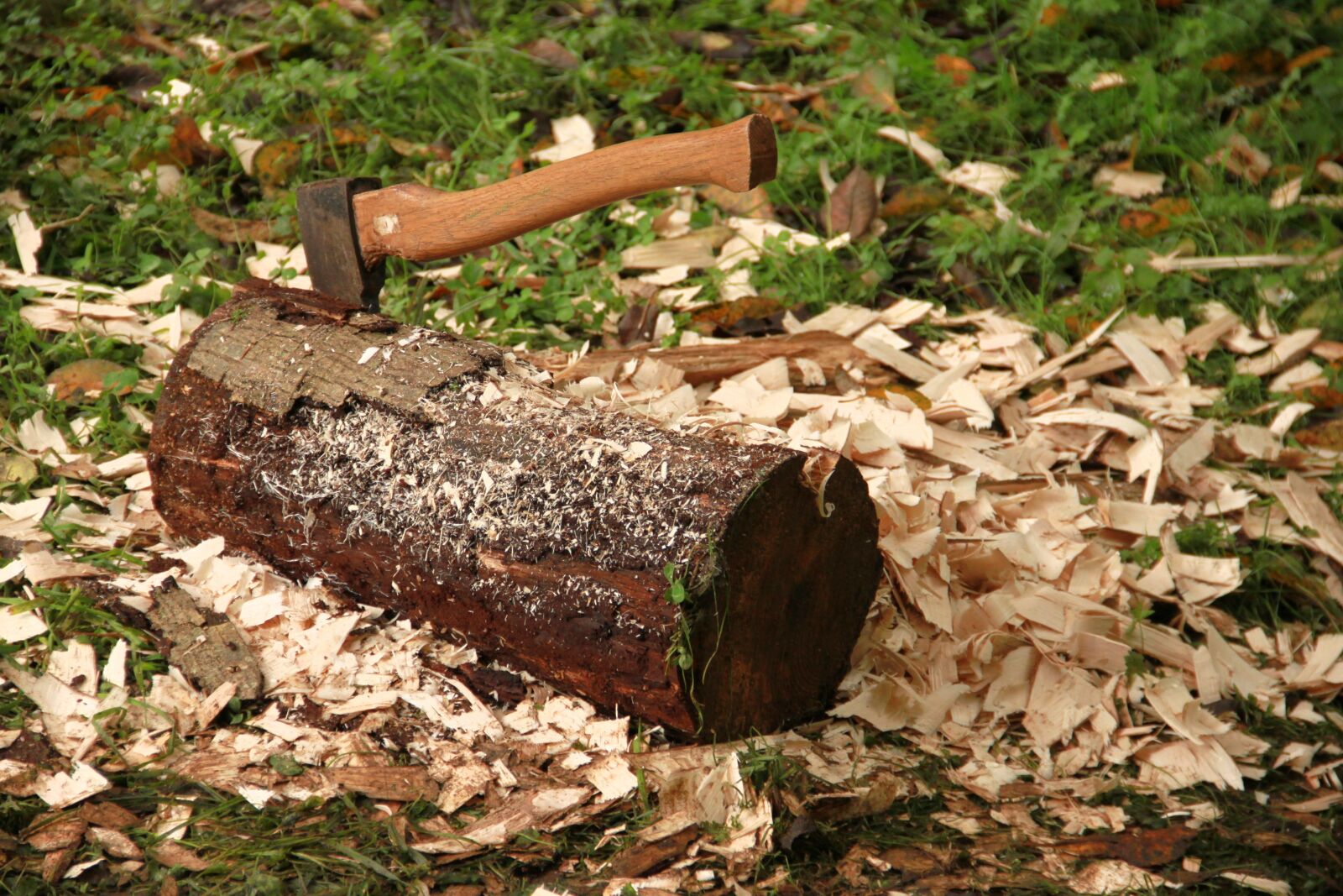 Canon EOS 500D (EOS Rebel T1i / EOS Kiss X3) sample photo. Axe, log, chips photography