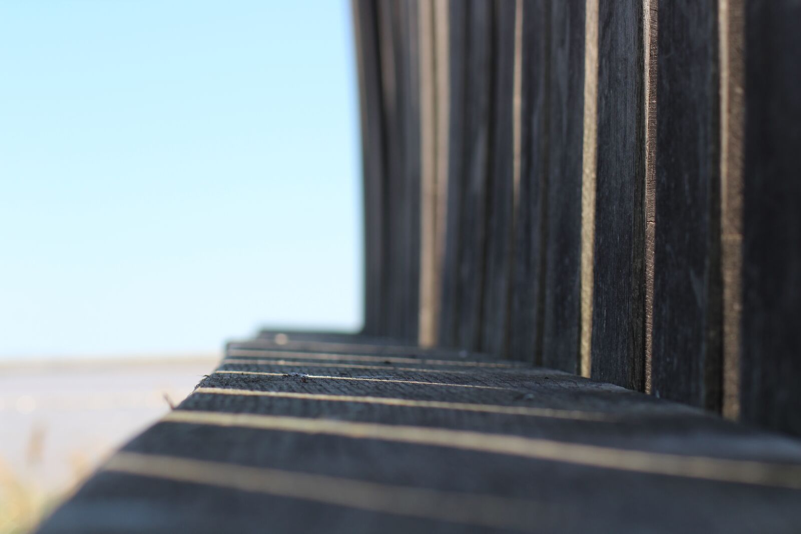 Canon EOS 1200D (EOS Rebel T5 / EOS Kiss X70 / EOS Hi) sample photo. Wood, shadow, contrast photography