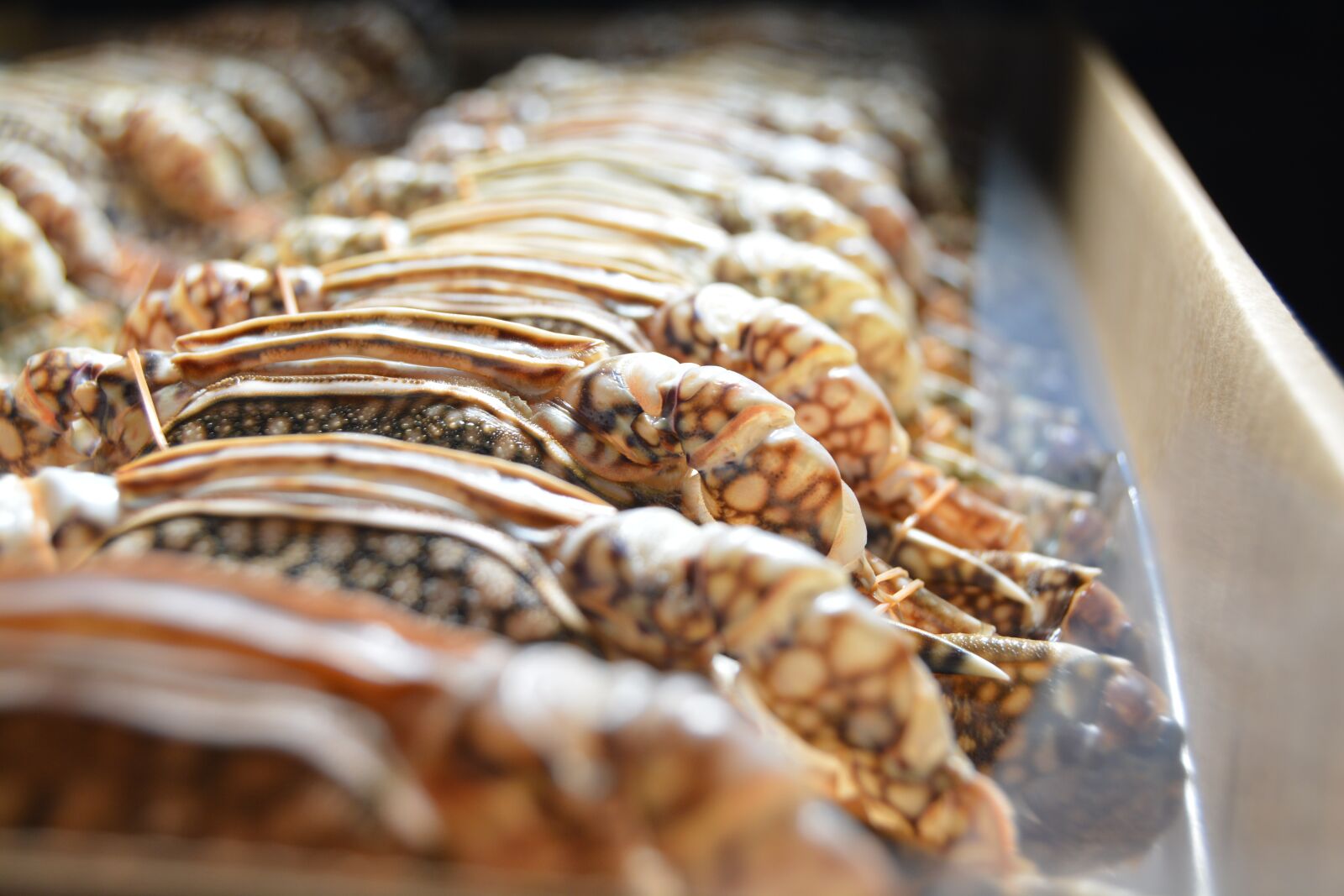 Nikon D5200 sample photo. Frozen blue swimming crabs photography