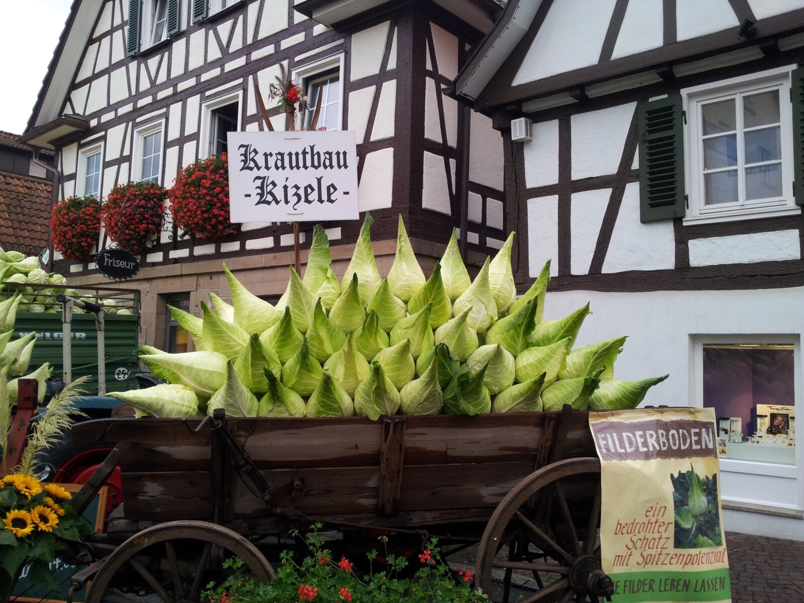 Samsung Galaxy S2 sample photo. Herb, cabbage festival, stuttgart photography