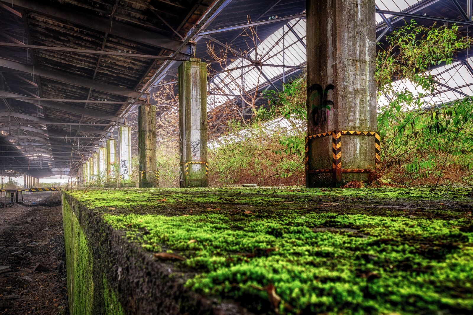 Nikon D3300 sample photo. Lost places, railway station photography