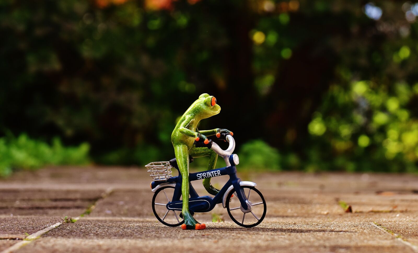 Nikon D7200 sample photo. Frog, bike, funny photography
