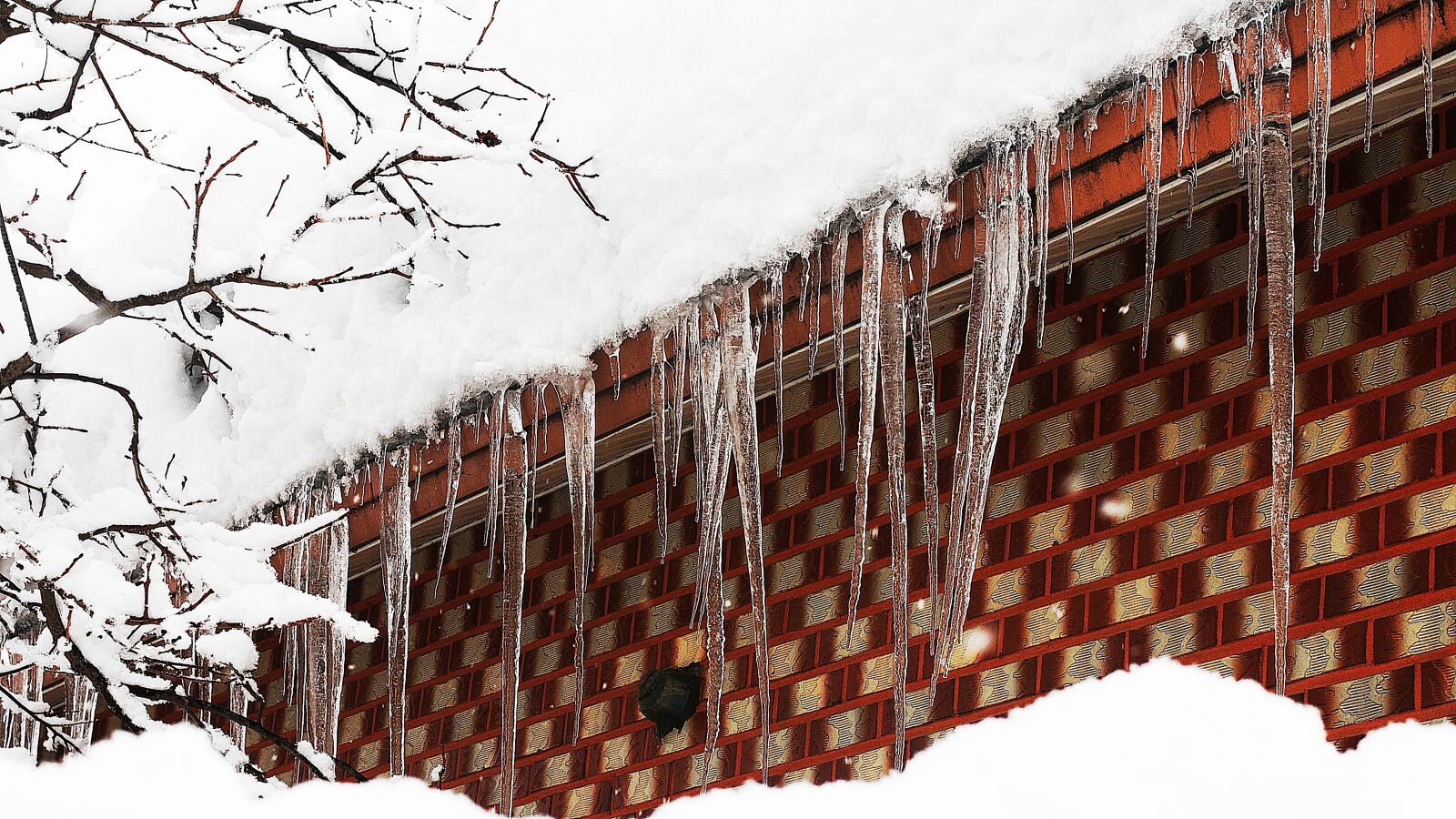 Nikon D2Xs sample photo. Winter, icicle, sichuan photography