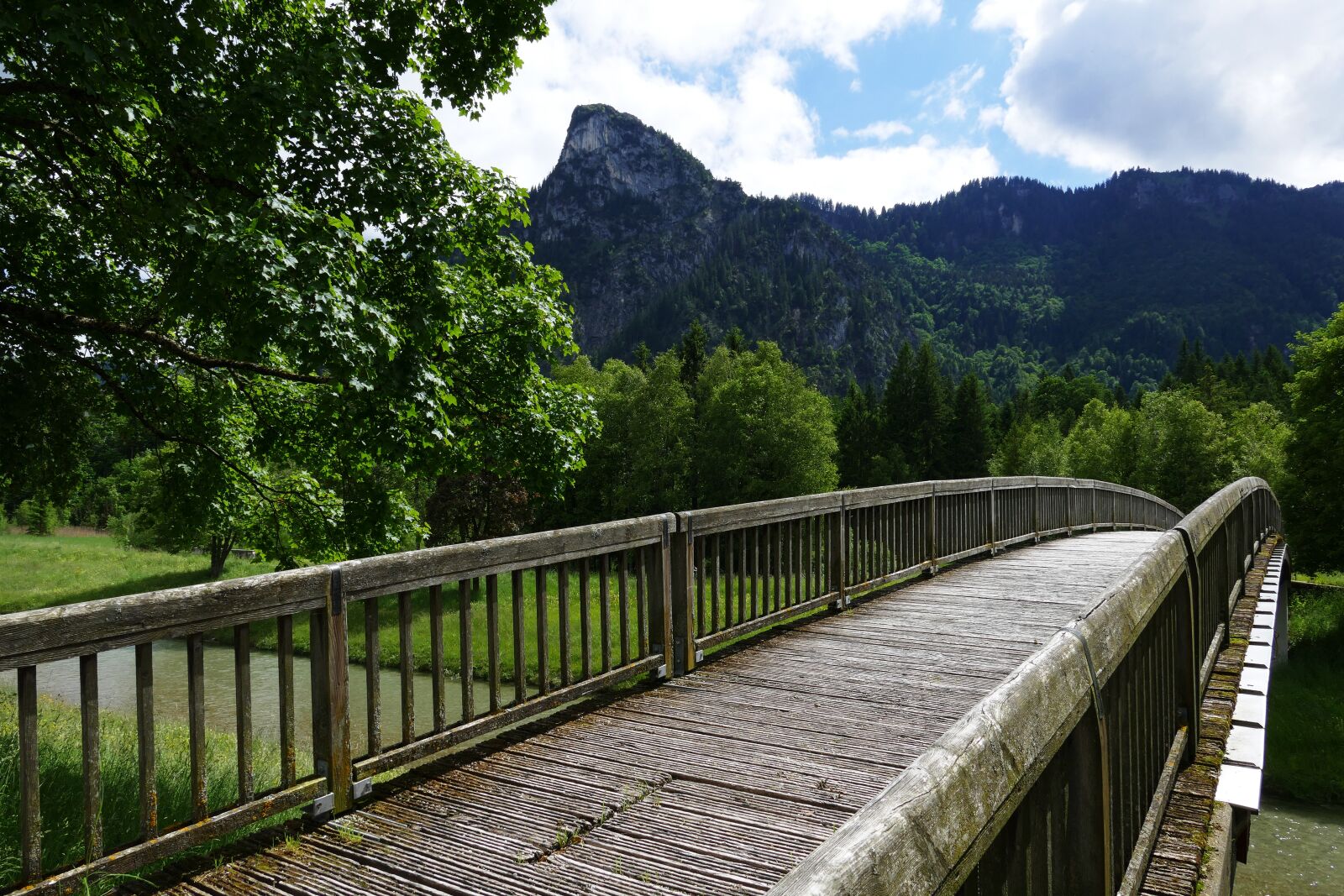 Leica V-Lux (Typ 114) sample photo. Bridge, web, boardwalk photography