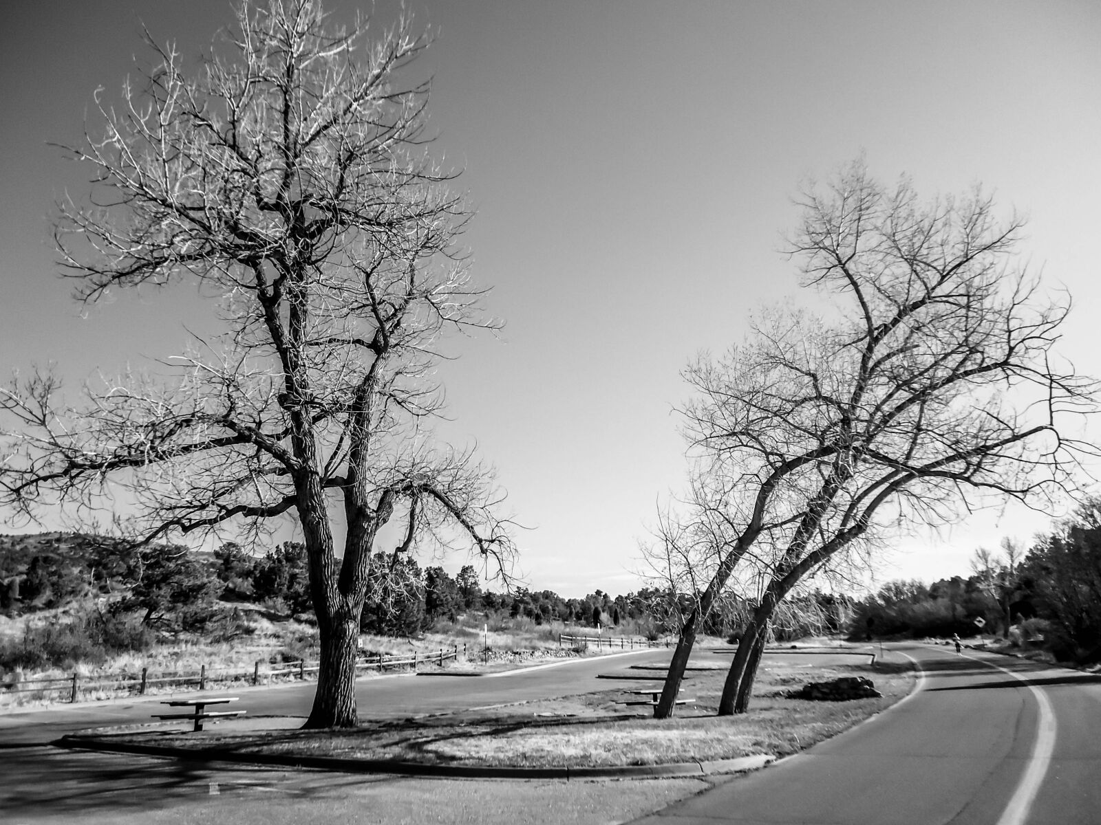 Sony Cyber-shot DSC-W530 sample photo. Tree, road, landscape photography