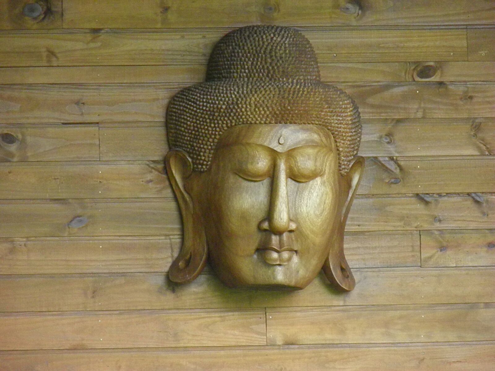 Olympus SP800UZ sample photo. Buddha, yoga, meditation photography