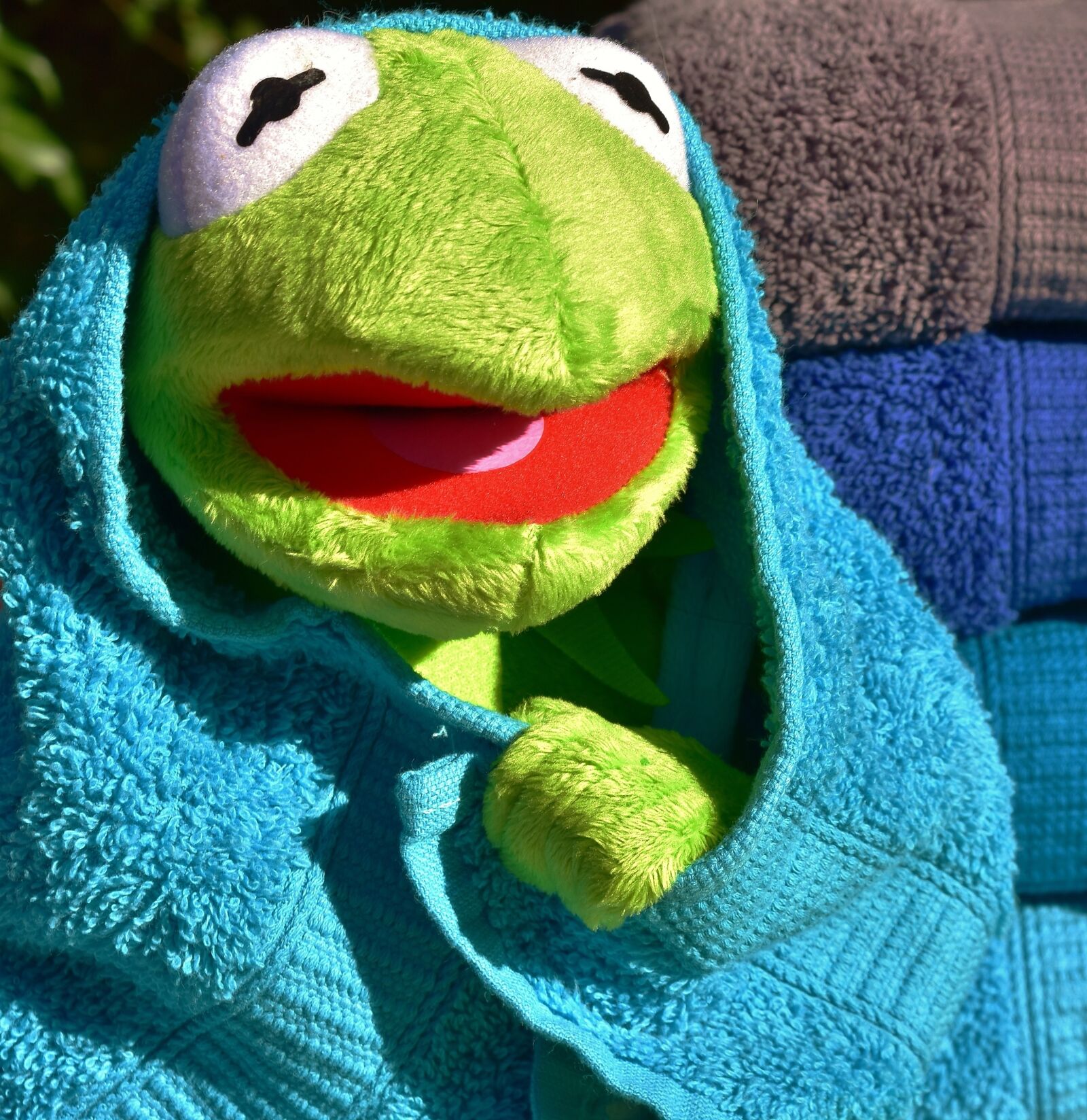 Nikon D7200 sample photo. Kermit, towel, turquoise photography