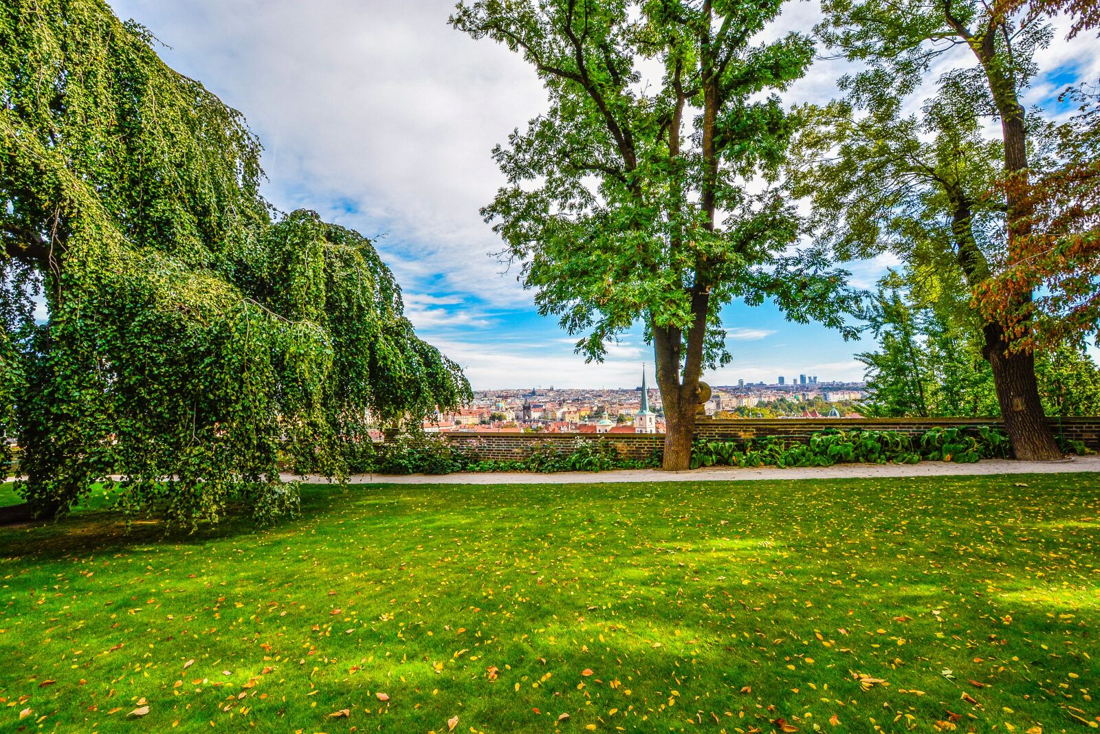 Nikon D5200 sample photo. Prague, trees, park photography
