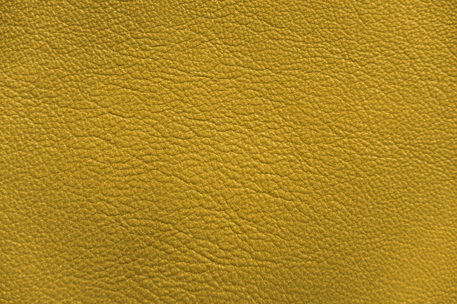 Sony SLT-A57 sample photo. Yellow, green, background photography