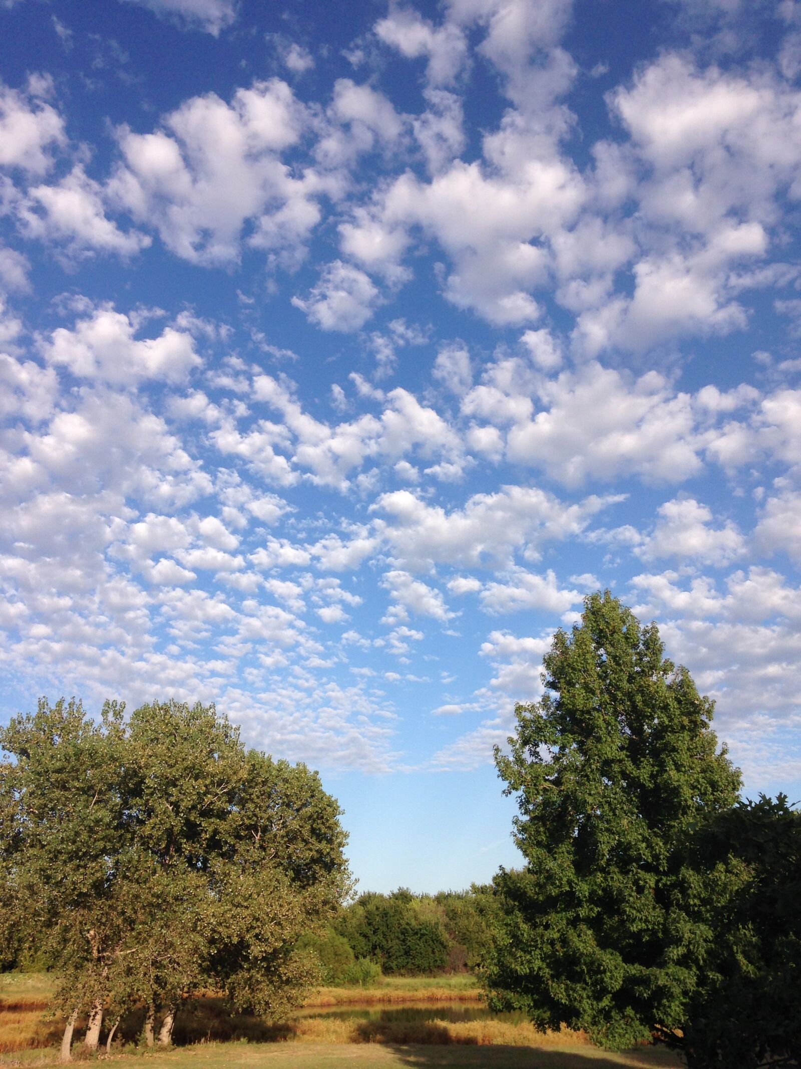Apple iPhone 5c sample photo. Outside, blue sky, white photography