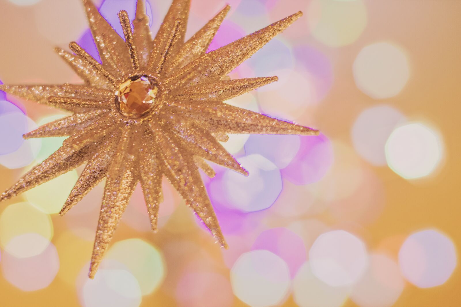 Canon EF 50mm F1.4 USM sample photo. Star, gold, gold star photography