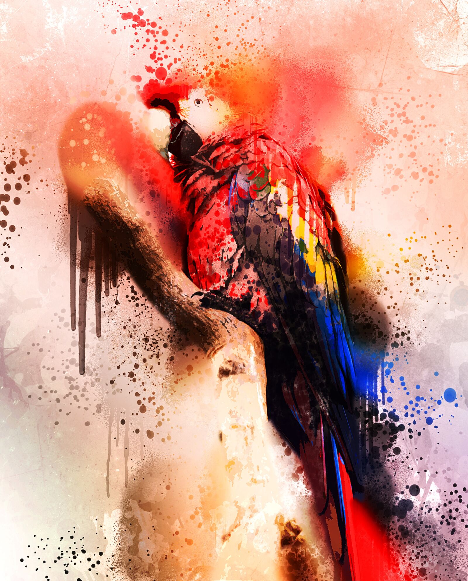 Canon EOS 5D Mark II sample photo. Bird, colorful, macaw photography