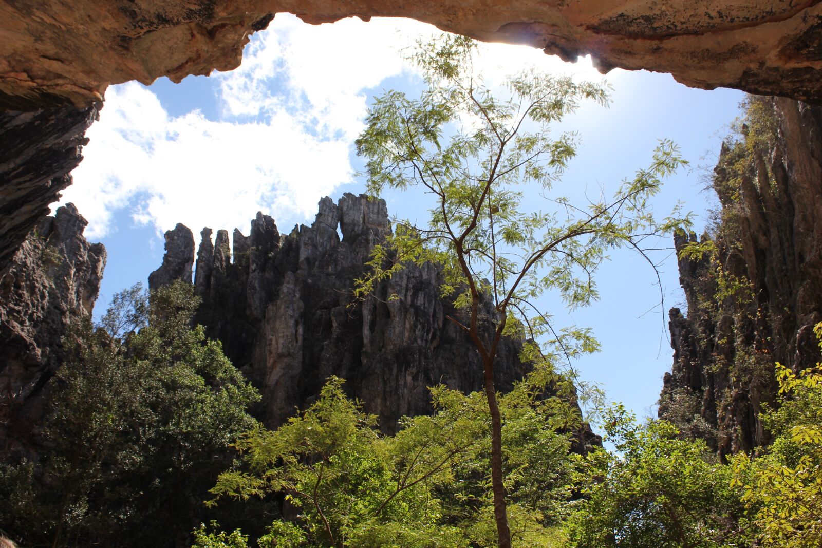 Canon EOS 550D (EOS Rebel T2i / EOS Kiss X4) sample photo. Nature, trip, rock photography