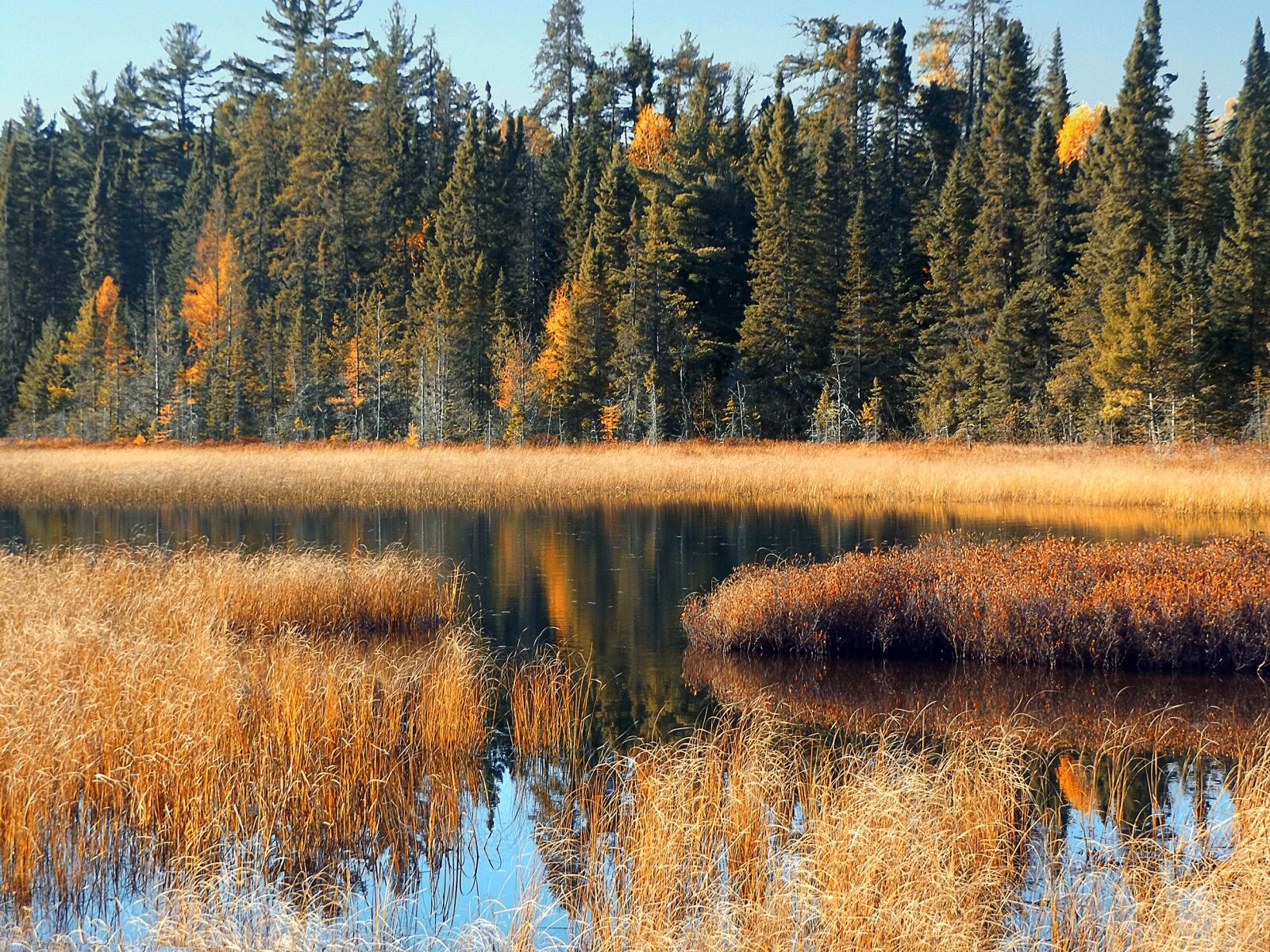 Fujifilm FinePix S8600 sample photo. Marsh, pond, autumn photography