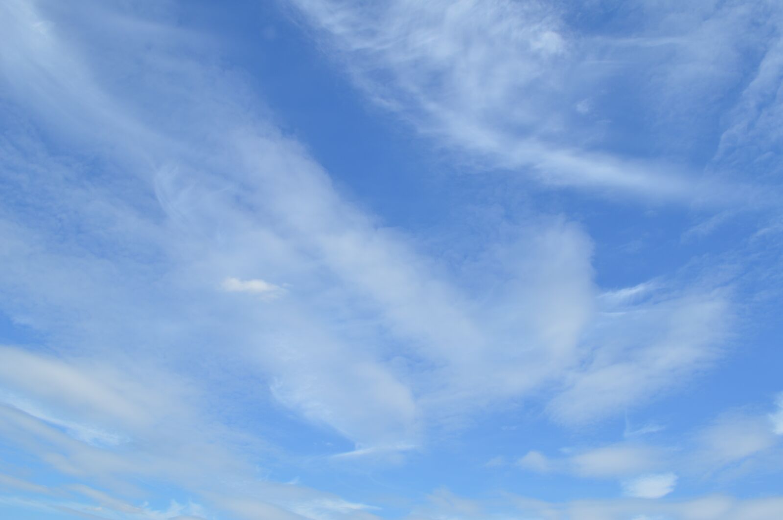 Nikon D3200 sample photo. Atmosphere, background, beautiful photography