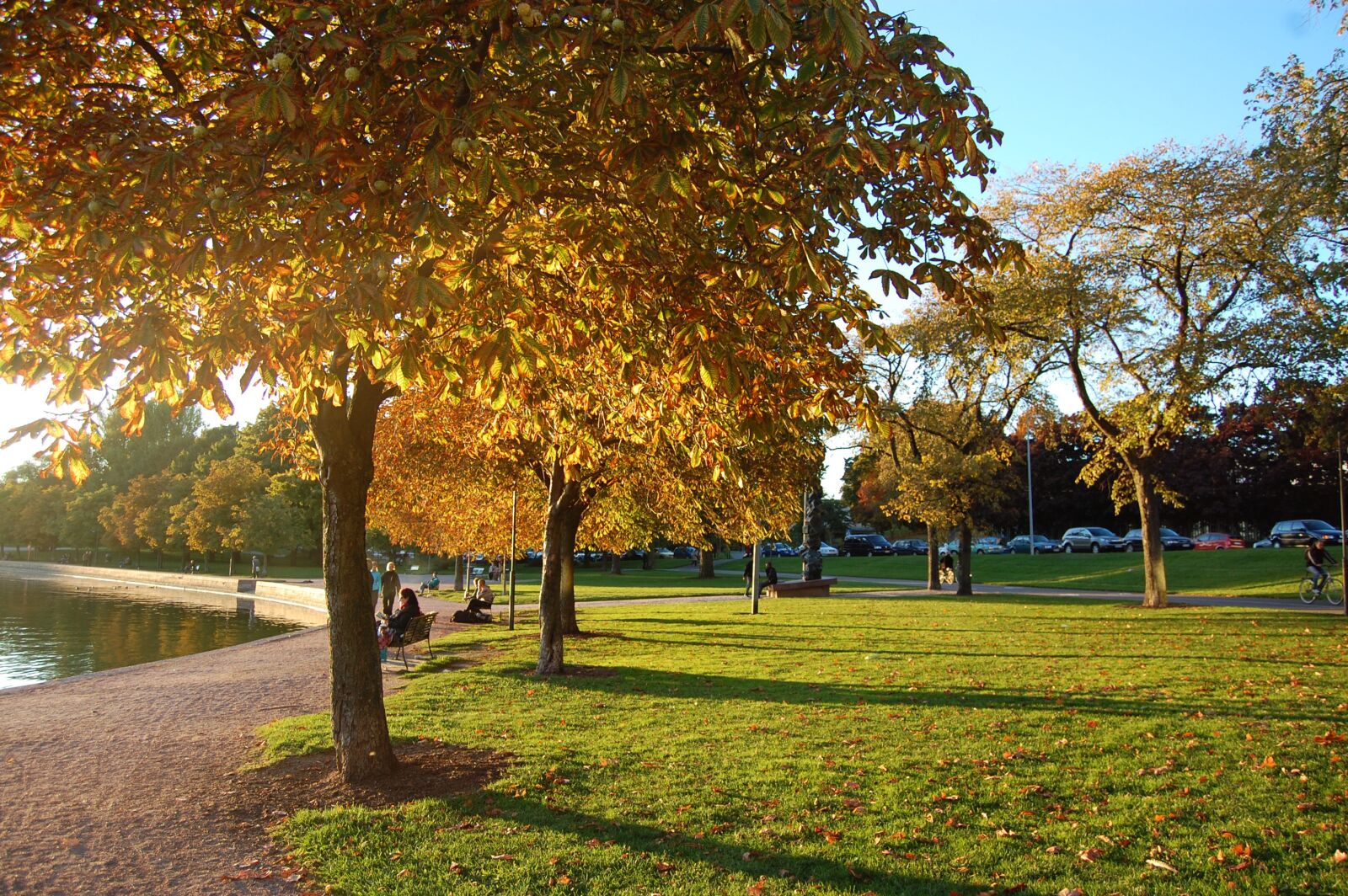 Nikon D40 sample photo. Autumn, helsinki, finnish photography