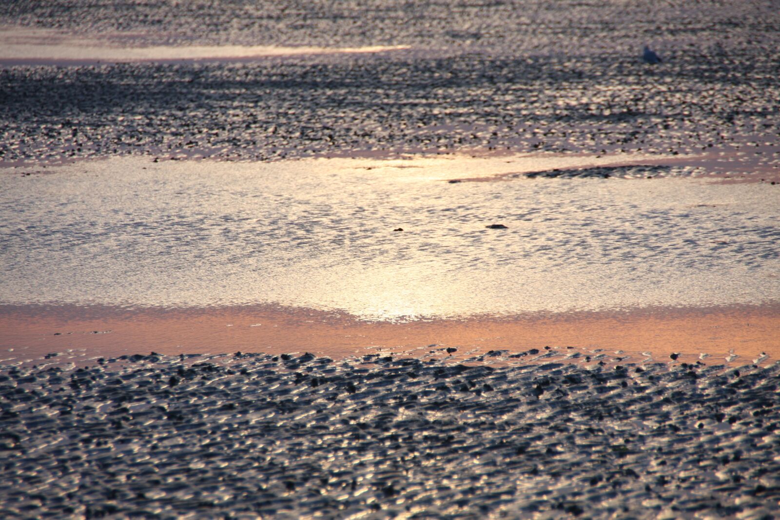 Canon EOS 40D sample photo. Watts, north sea, wadden photography