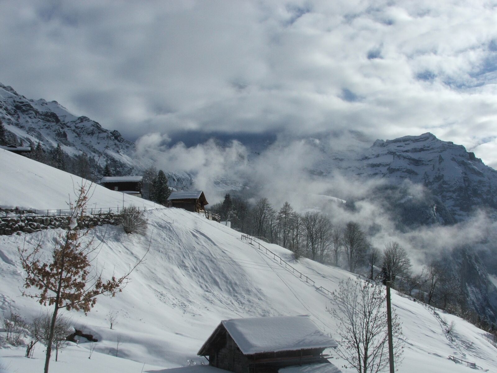 Fujifilm FinePix S5500 sample photo. Jungfrau, view, snow photography