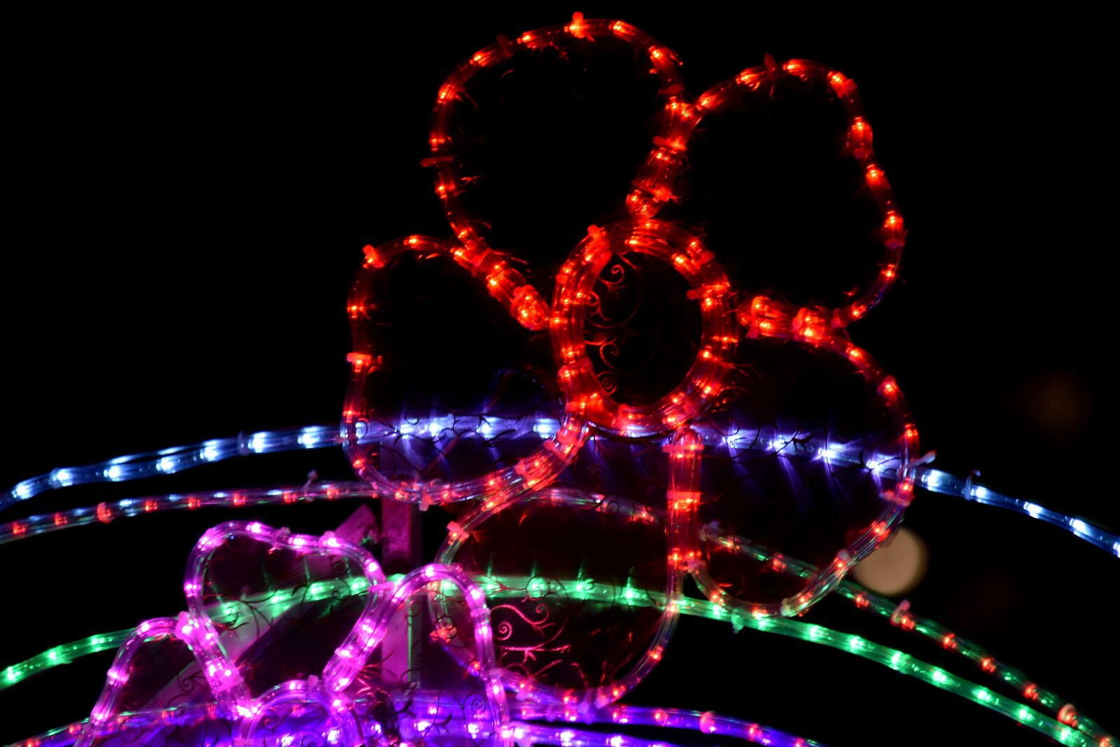 Nikon D5500 sample photo. Decoration, electricity, flower, light photography