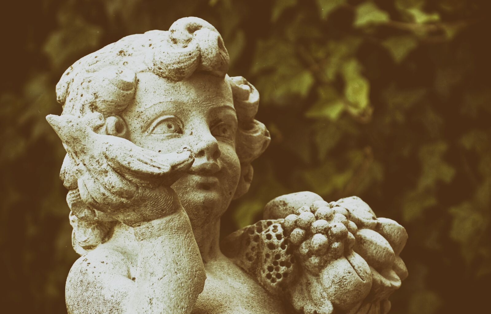 Nikon D7200 sample photo. Figure, stone, bird photography