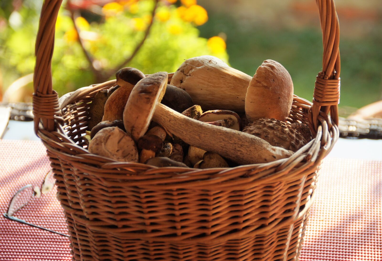 Sony SLT-A58 sample photo. Basket of mushrooms, mushrooms photography