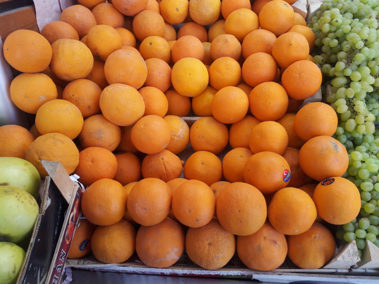Samsung Galaxy J7 sample photo. Oranges photography