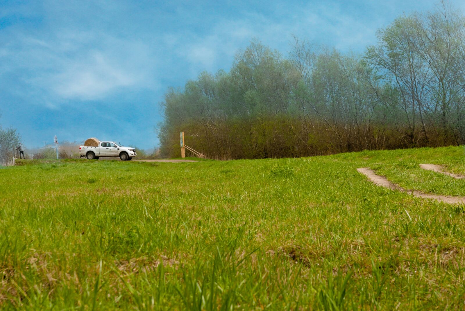 Nikon D80 sample photo. Nature, field, prairie photography