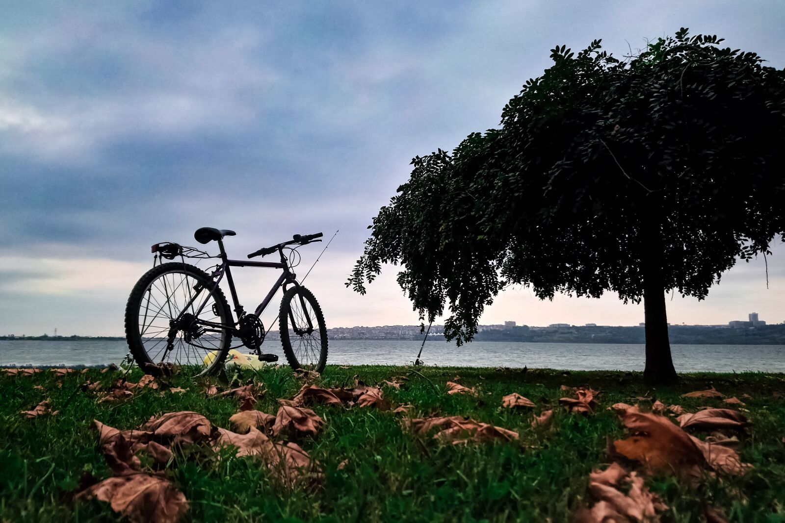 Sony Xperia XA1 Ultra sample photo. Bicycle, travel, nature photography