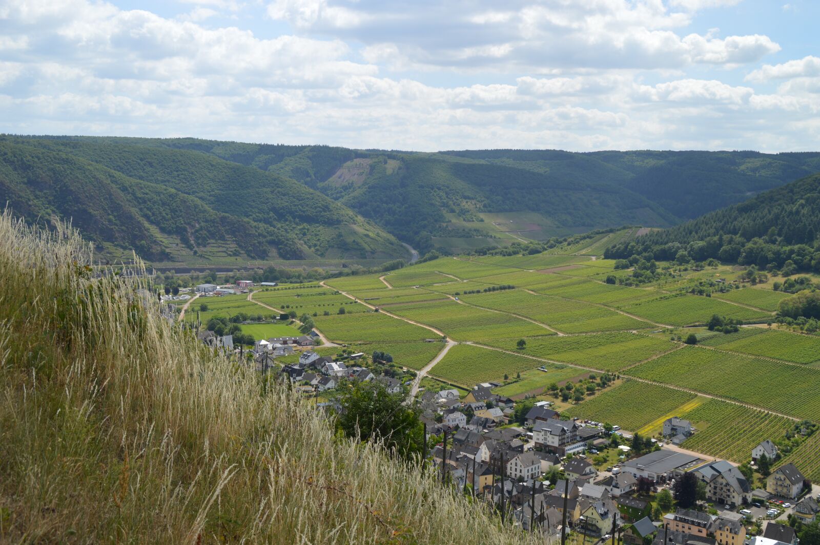 Nikon D3200 sample photo. Landscape, valley, nature photography