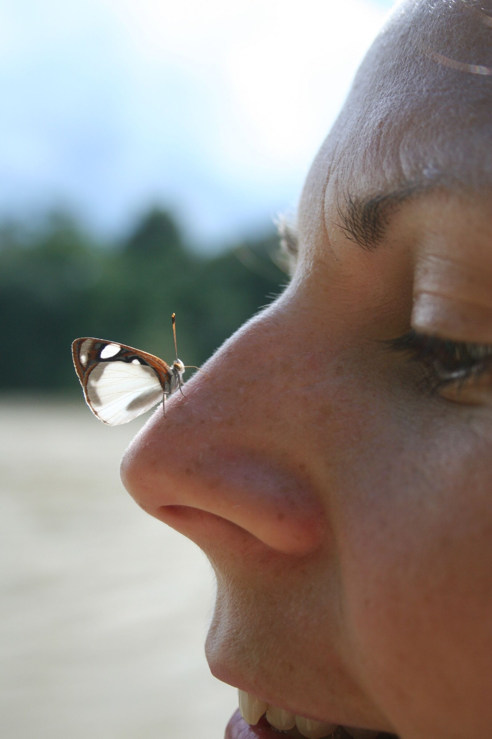 Canon EOS 350D (EOS Digital Rebel XT / EOS Kiss Digital N) sample photo. Butterfly, nose, nature photography