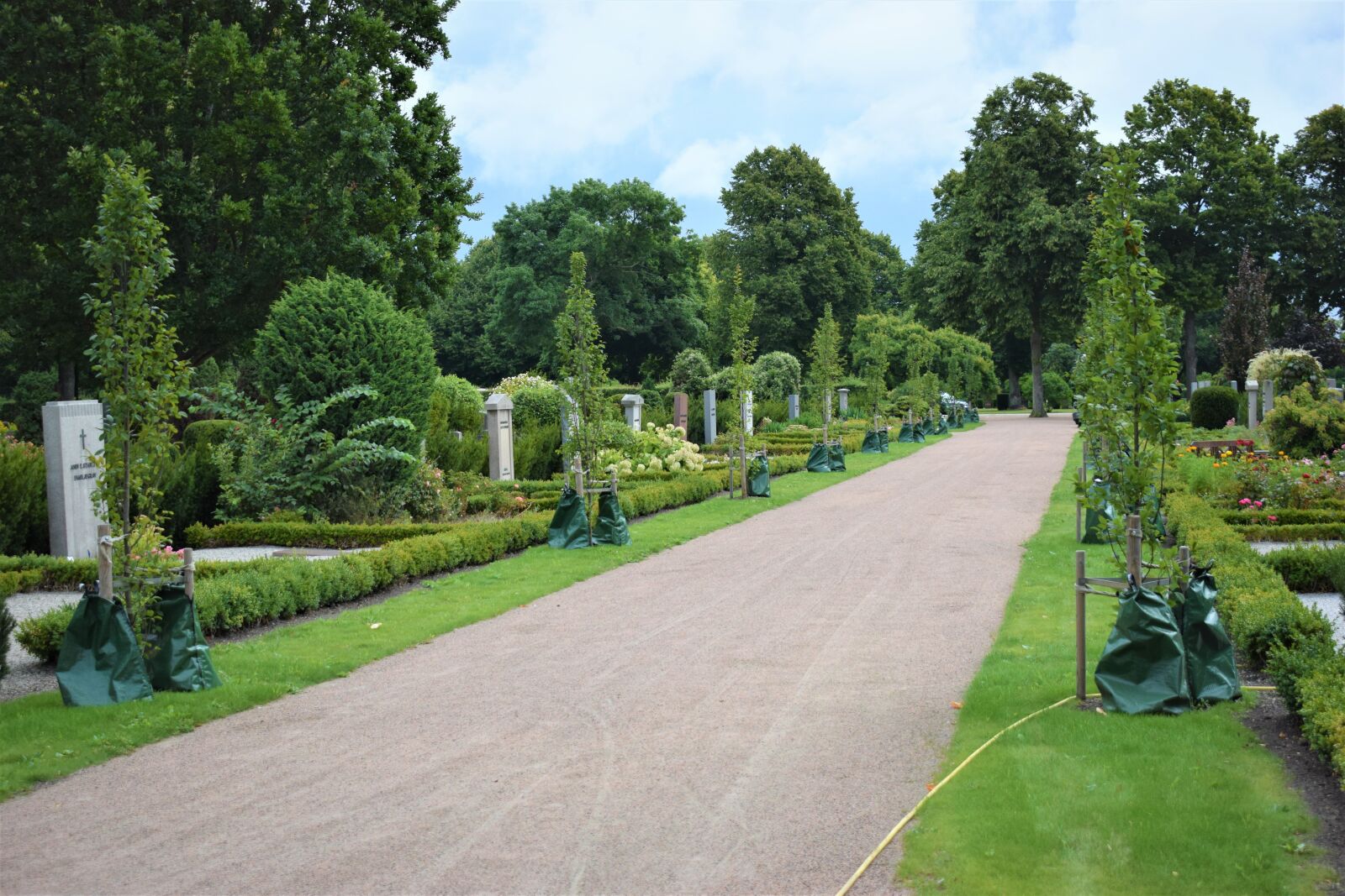 Nikon D3300 sample photo. Sweden, limhamn, cemetery photography