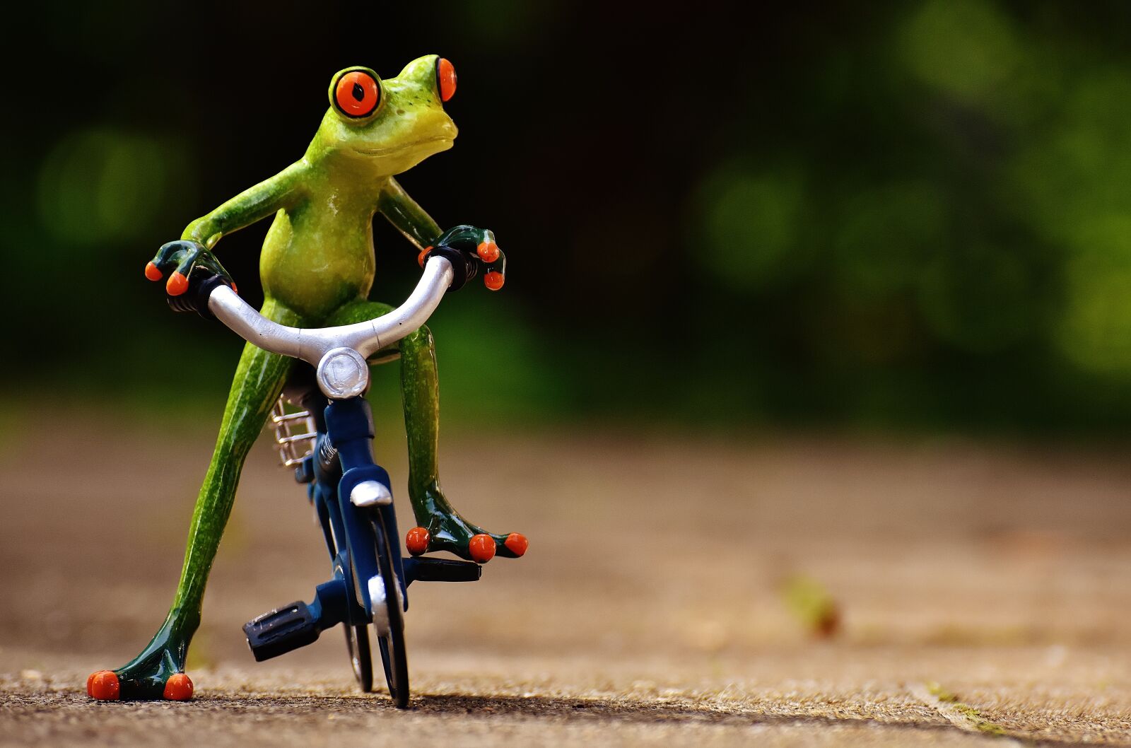 Nikon D7200 sample photo. Frog, bike, funny photography