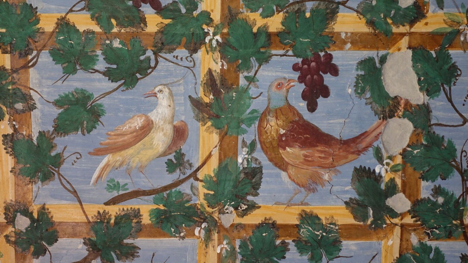 Sony Cyber-shot DSC-RX100 IV sample photo. Fresco, italy, birds photography
