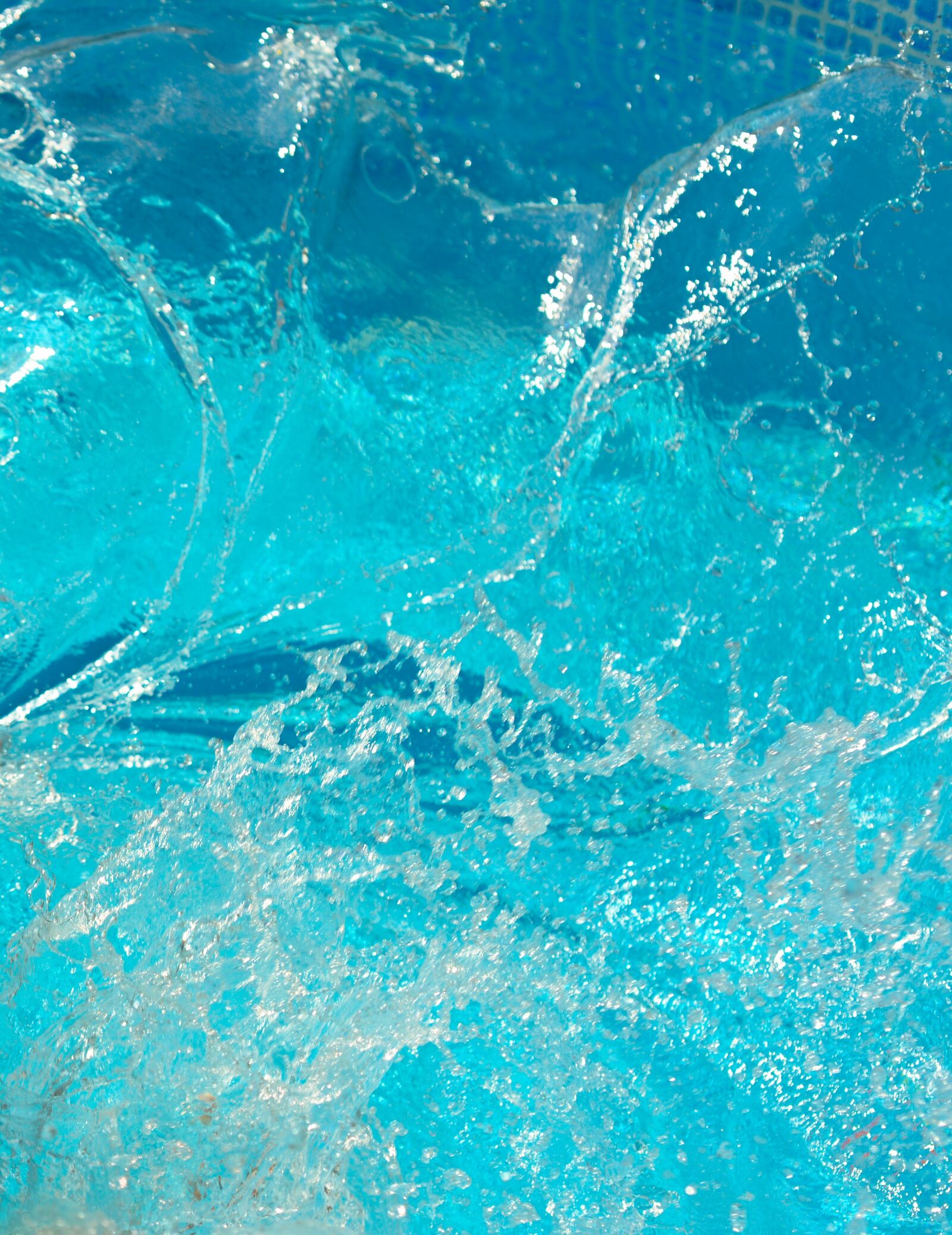 Nikon D610 sample photo. Water, splash, pool photography