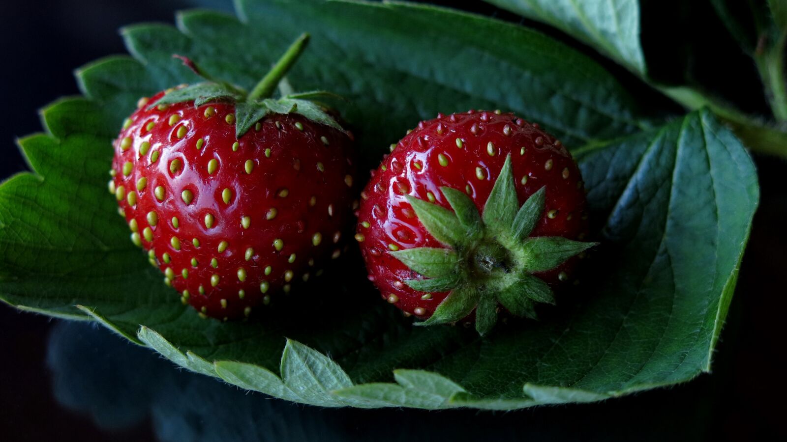 Canon PowerShot G15 sample photo. Strawberries, fruit, red photography
