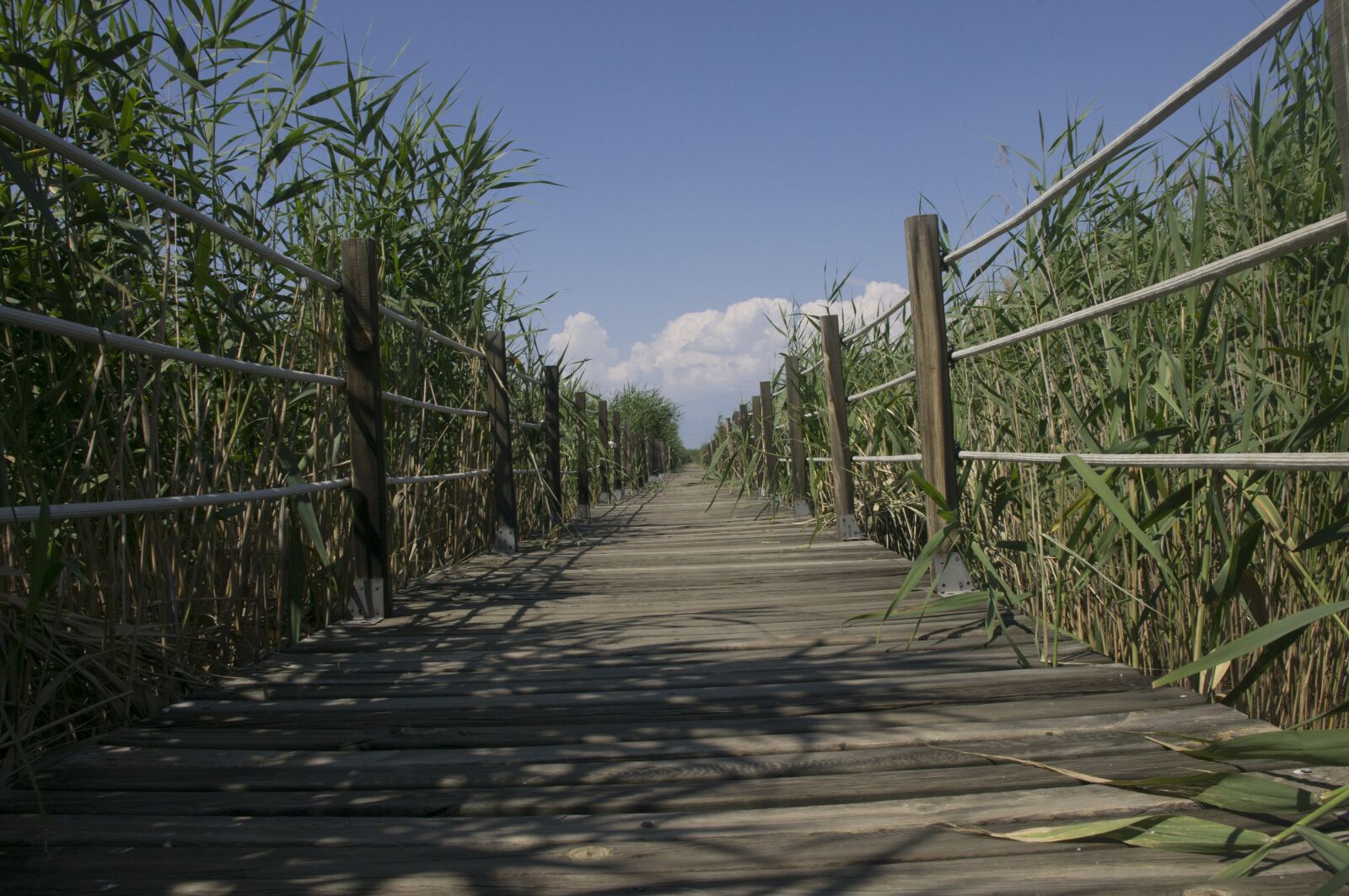 smc PENTAX-DA L 18-55mm F3.5-5.6 sample photo. Sultan marshes, kayseri, erciyes photography