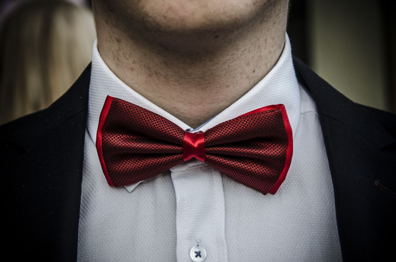 Nikon D7000 sample photo. Bow, tie, elegant photography