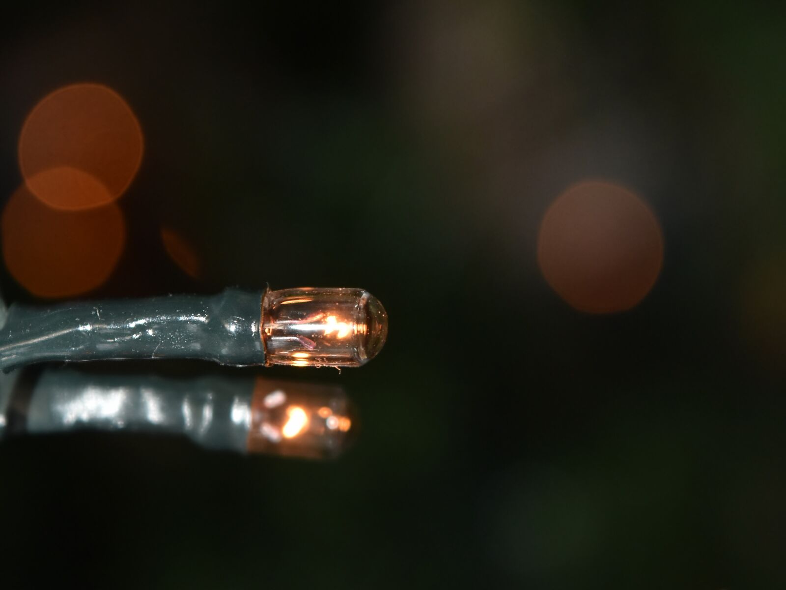 Nikon D5500 sample photo. Focus, horizontal, illumination, light photography