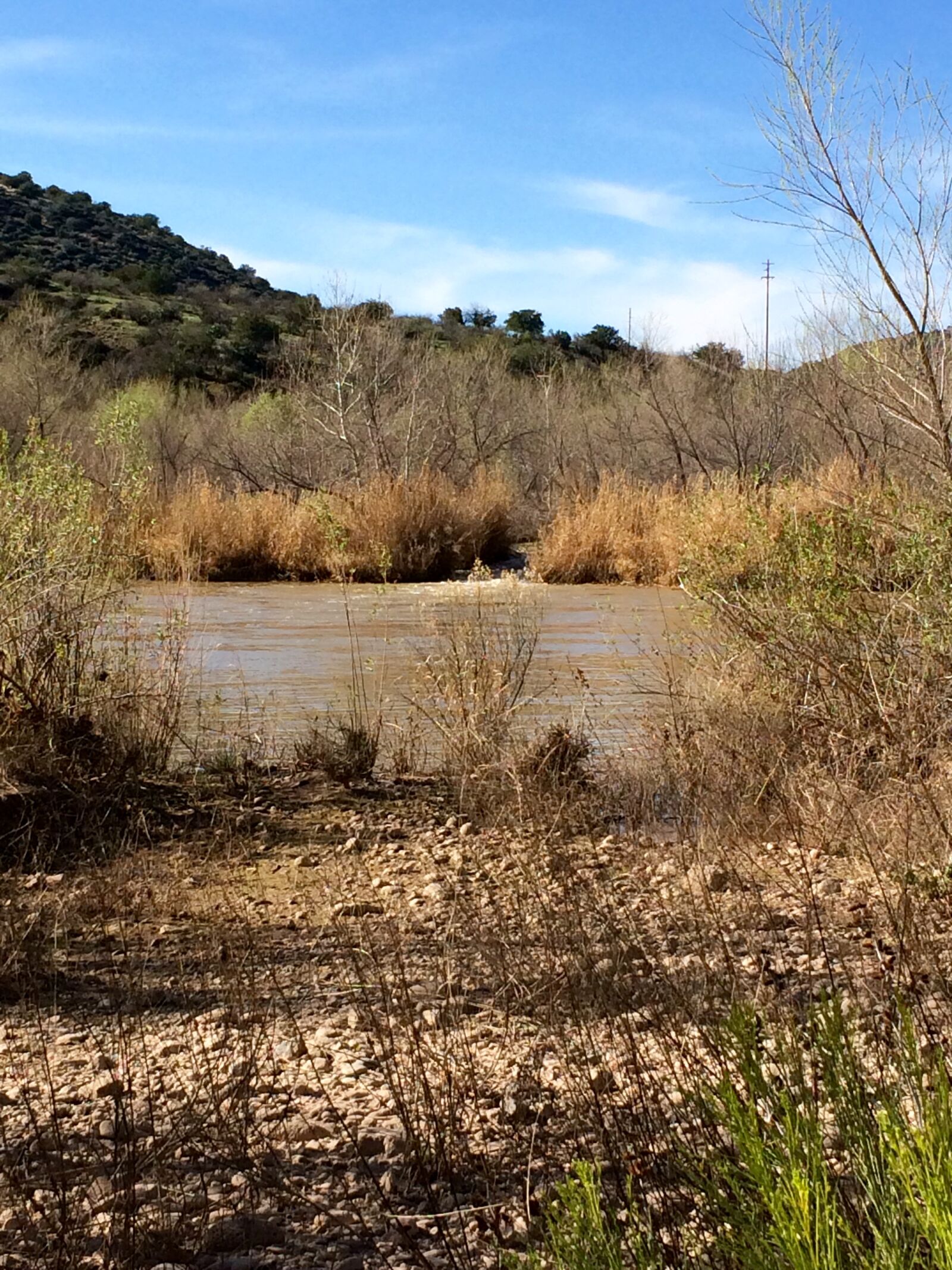 iPhone 5s back camera 4.15mm f/2.2 sample photo. Arizona photography