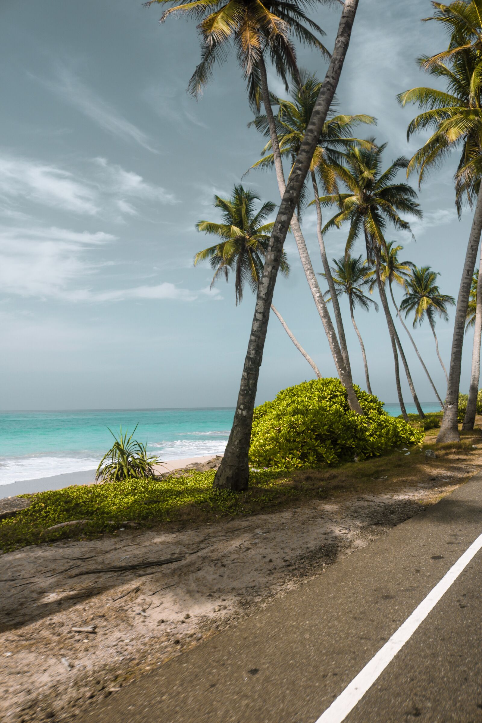 Canon EOS 750D (EOS Rebel T6i / EOS Kiss X8i) sample photo. Travel, palm trees, beach photography