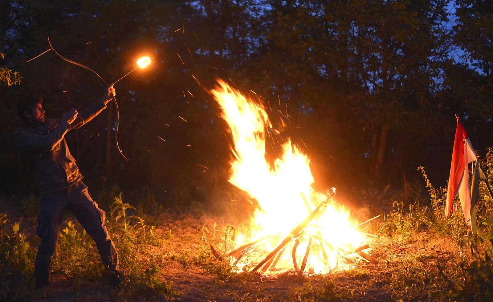 Nikon D7100 sample photo. At night, fire, trianon photography